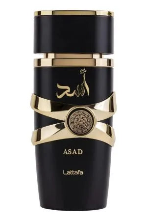 <a href="https://ifperfumes.com.br/categoria-produto/arabes/">9PM Afnan Eau De Parfum Masculino 100ml</a>