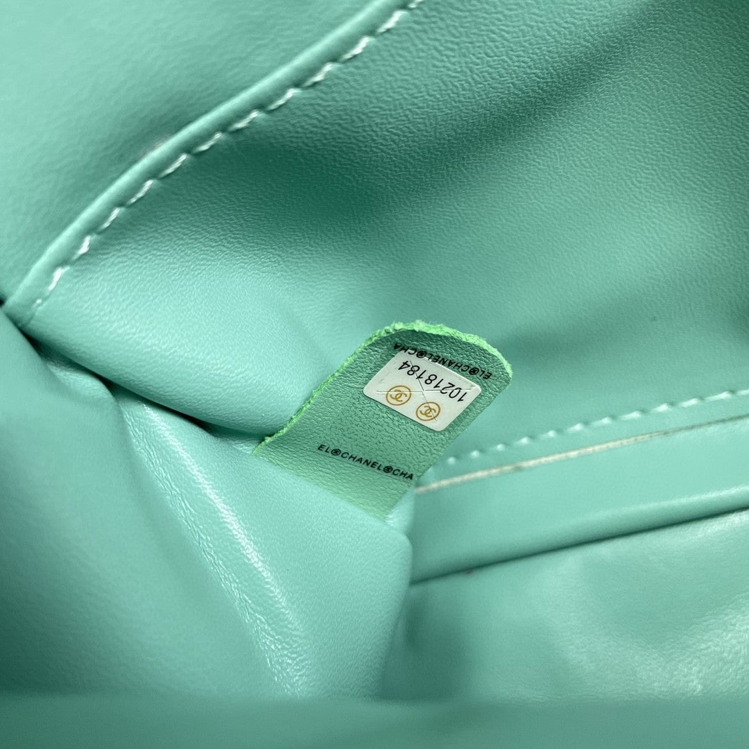 CHN Classic Light Green and Silver Bag 25cm