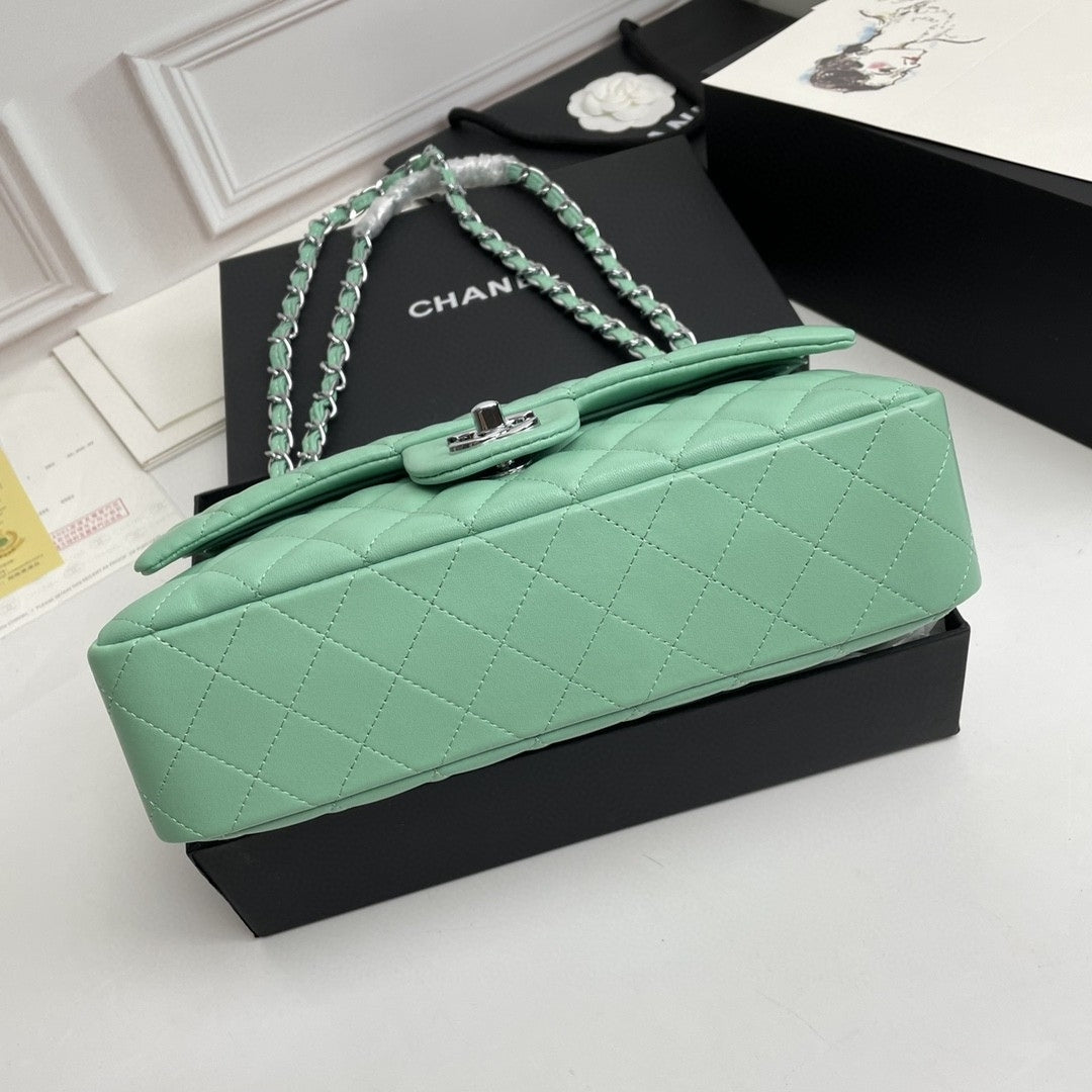 CHN Classic Light Green and Silver Bag 25cm