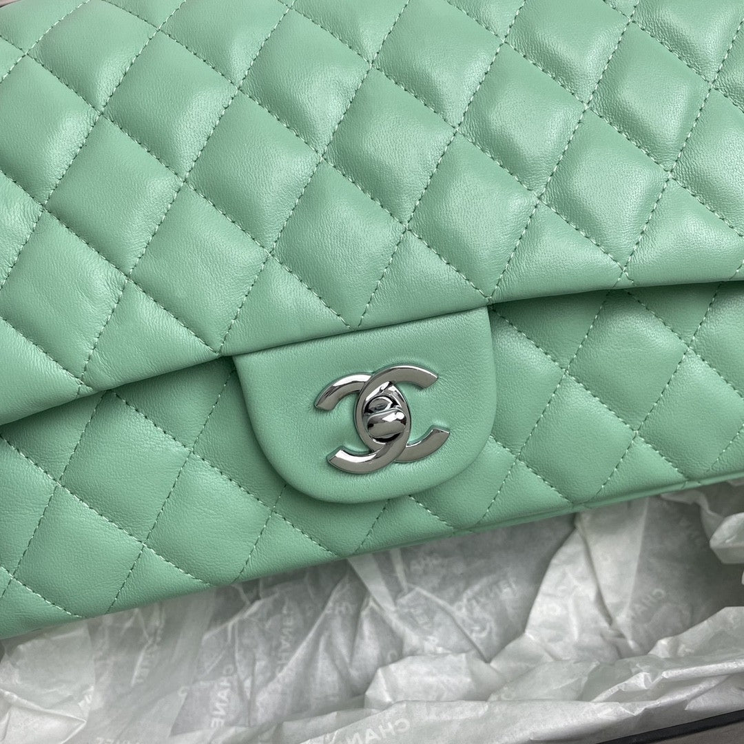 CHN Classic Light Green and Silver Bag 25cm