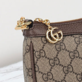 GG Mini Ophidia Bag with extra strap and 25cm Canvas